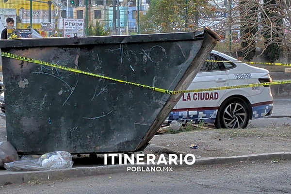 Hallan feto en contenedor de basura en Bosques de San Sebastián