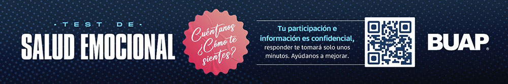 buap_080626