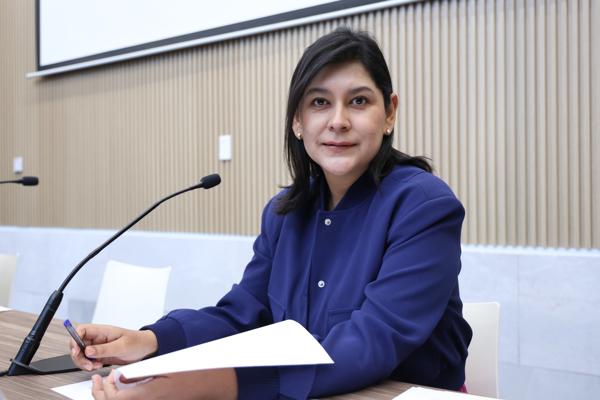 Diputada Ana Lilia Tepole