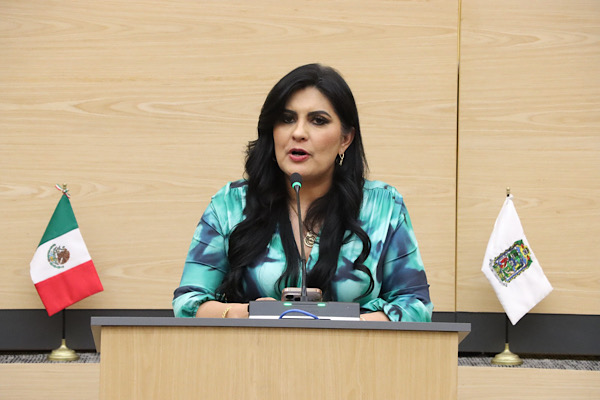 Diputada Delfina Pozos presenta iniciativa para fortalecer la transparencia, pluralidad y responsabilidad en la toma de decisiones