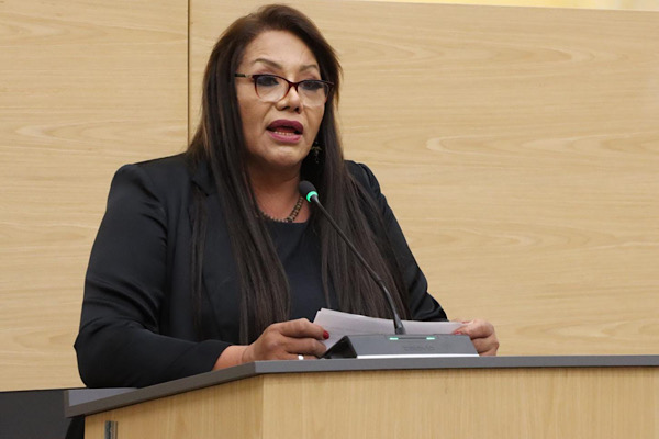 Congreso realizará cinco mesas de trabajo para analizar el reconocimiento de las infancias trans