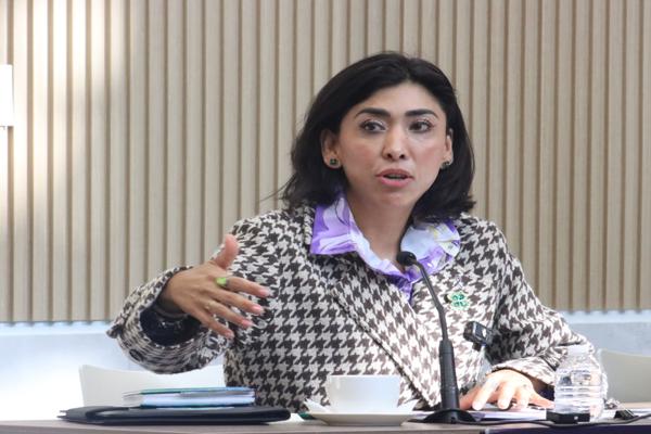 De 217 municipios, sólo 63 cuentan con la Unidad de Atención Inmediata a Mujeres: diputada Pimentel