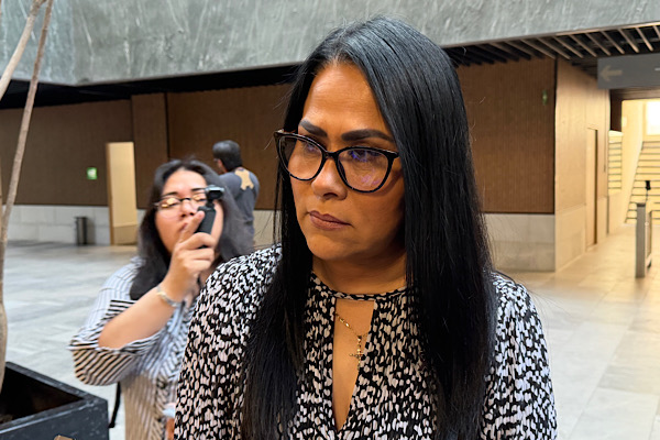 “Plan B” pareciera una “venganza” tras no prosperar la reforma electoral: Fedrha Suriano