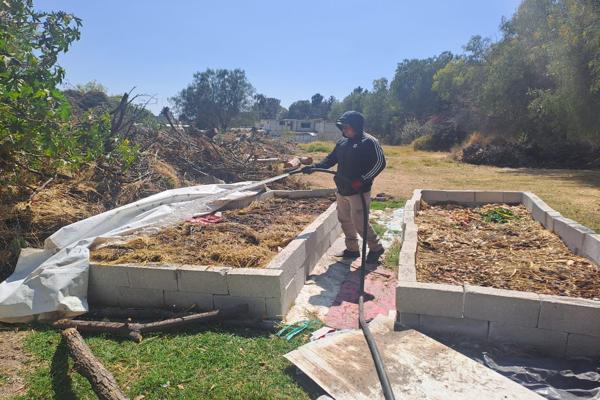 Impulsa Gobierno de Pepe Chedraui proyecto de lombricomposta en la capital