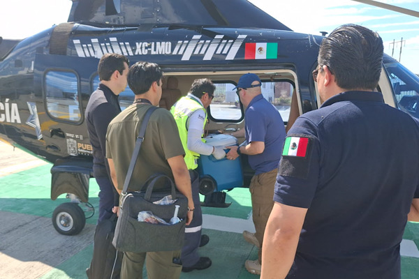 Vía traslado médico aéreo, donación multiorgánica salva vidas en CDMX