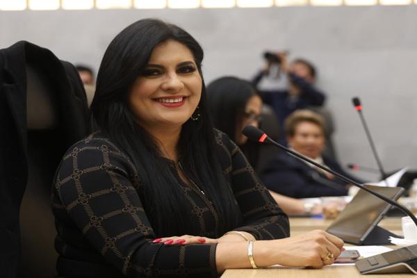 Plantea la diputada Delfina Pozos ajuste a reformas sobre el delito de despojo