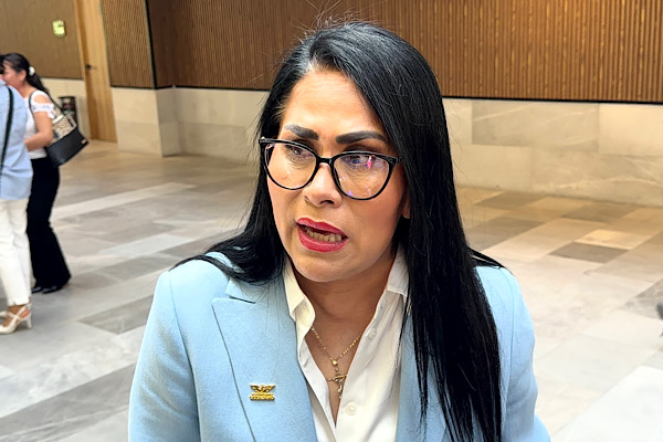 Fedrha Suriano propone que la licencia de paternidad pase de 5 días a 12 semanas