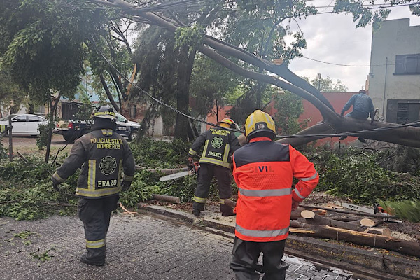 Gobierno de Pepe Chedraui atiende incidencias por lluvias y vientos