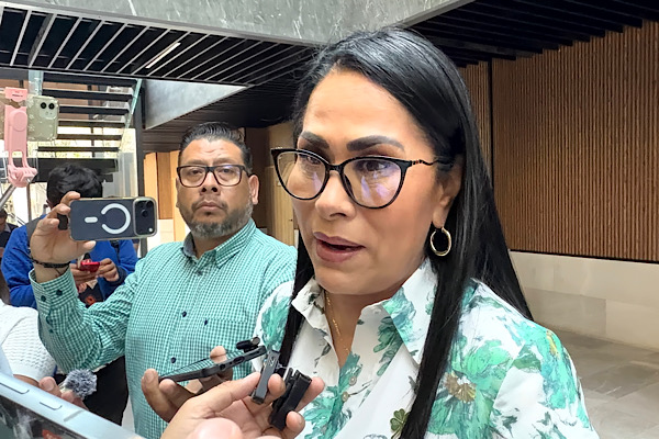 Movimiento Ciudadano estará atento de la propuesta de reforma electoral: Fedrha Suriano