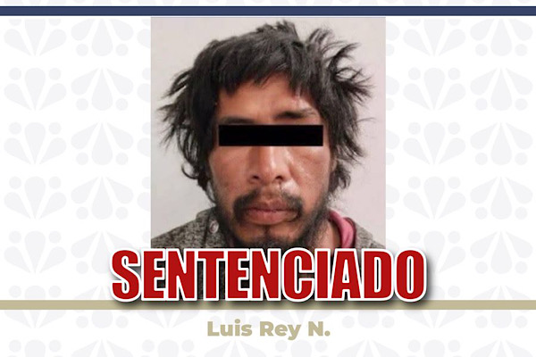 Sentencian a más de 11 años de prisión a hombre que atacó al perro “Huesitos” en Puebla