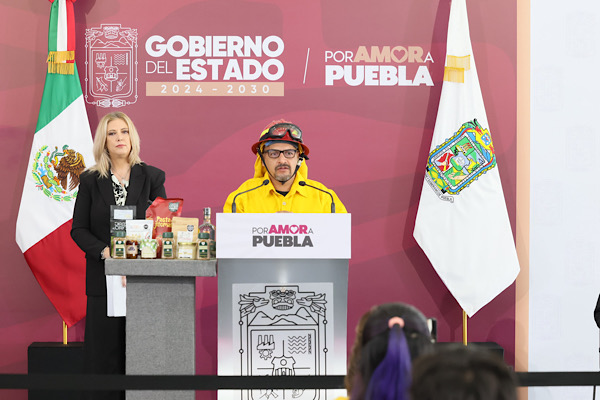 Gobierno estatal reduce 55% la superficie afectada por incendios forestales