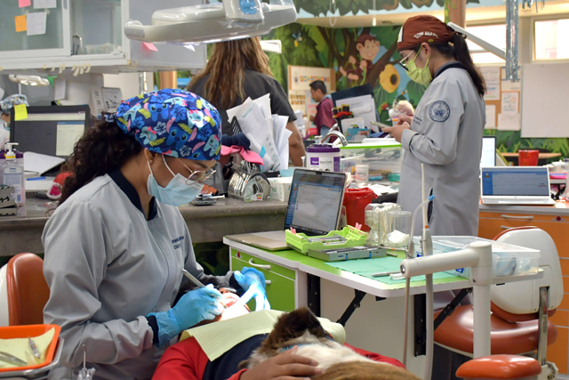 Proporciona BUAP tratamiento dental especializado a menores de edad