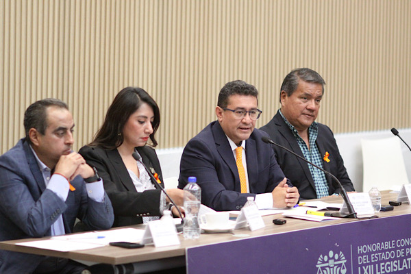 Con perspectiva de género e inclusión, el Congreso trabaja por la protección de mujeres y niñas: Pável Gaspar