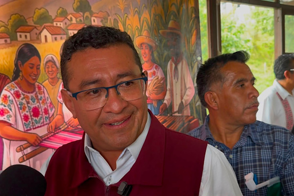 Suspensión temporal partidista no afecta representación de diputadas en la LXII Legislatura: Pável Gaspar