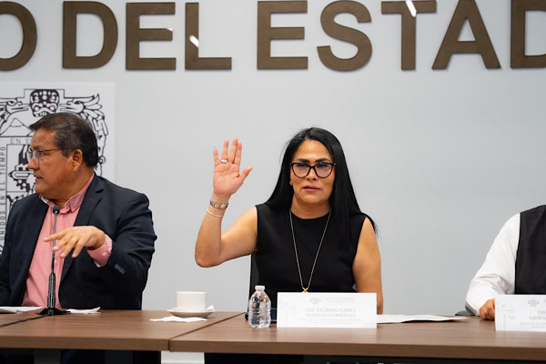 Propone Fedrha Suriano garantizar acceso efectivo a servicios de salud en materia de interrupción legal del embarazo