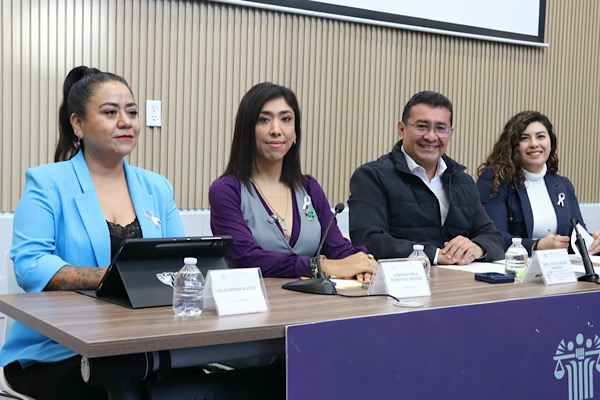Toda inversión para dignificar espacios y construir vivienda debe beneficiar directamente a sus habitantes: Pável Gaspar