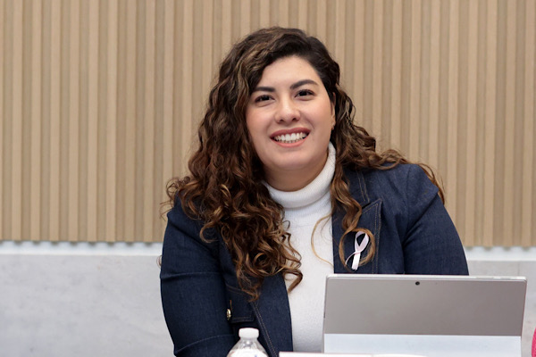 Diputada Xel Hernández defiende sistema de transporte por cable